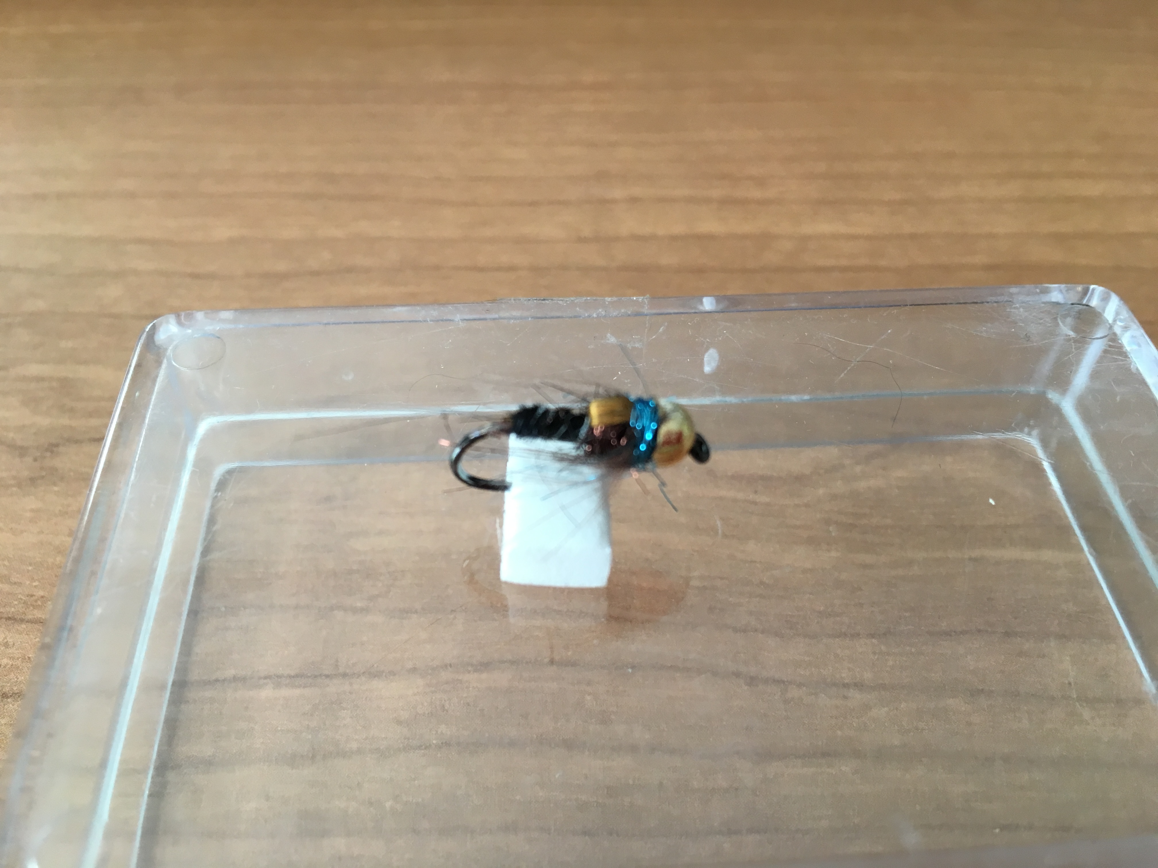 BF CABEZA DORADA AZUL MARRON BRINCA 10