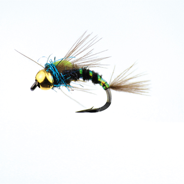 BF CABEZA DORADA NEGRA FLUOR 10