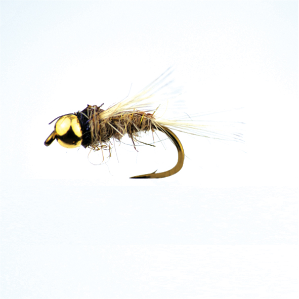 BF CABEZA DORADA NATURAL LIEBRE 10