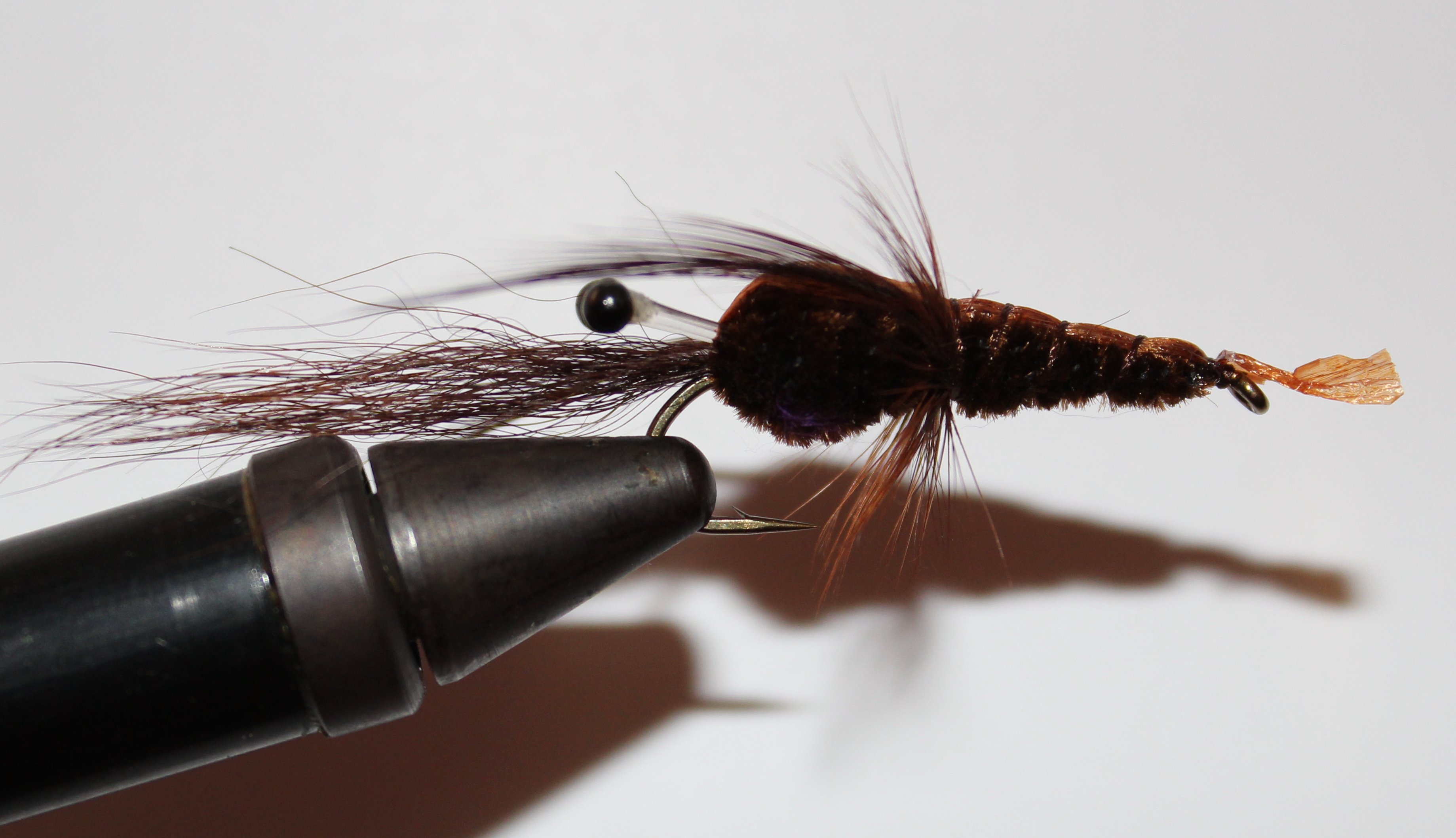 BF CANGREJO MARRON 06