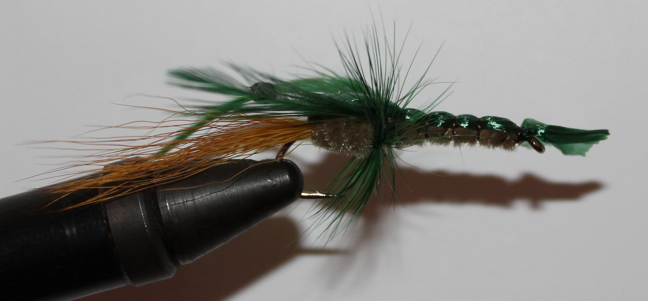 BF CANGREJO VERDE 06