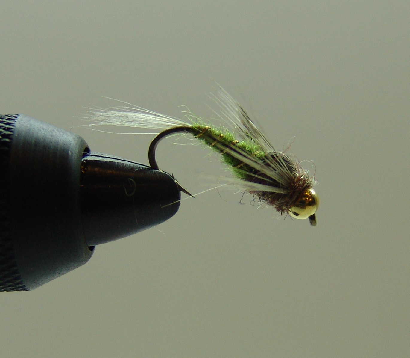 BF NINFA CABEZA DORADA OLIVA 12