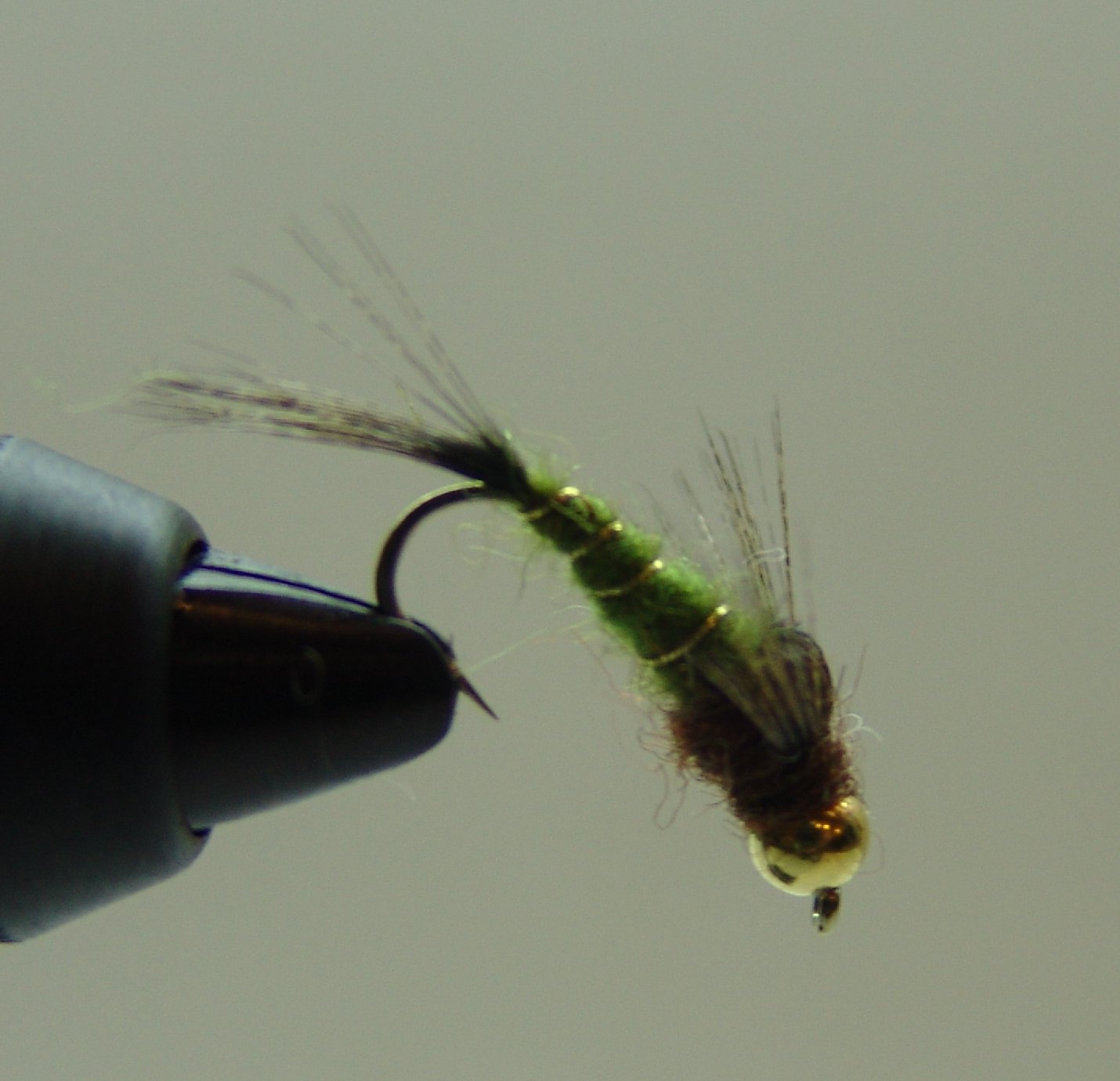 BF NINFA CABEZA DORADA OLIVA 10