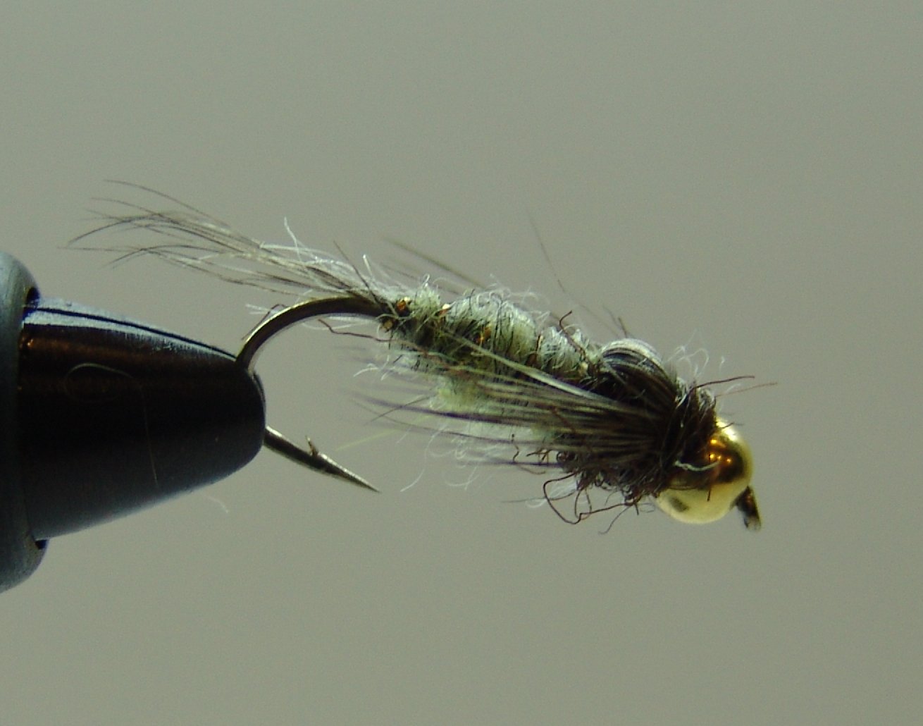 BF NINFA CABEZA DORADA LIGHT OLIVA 10