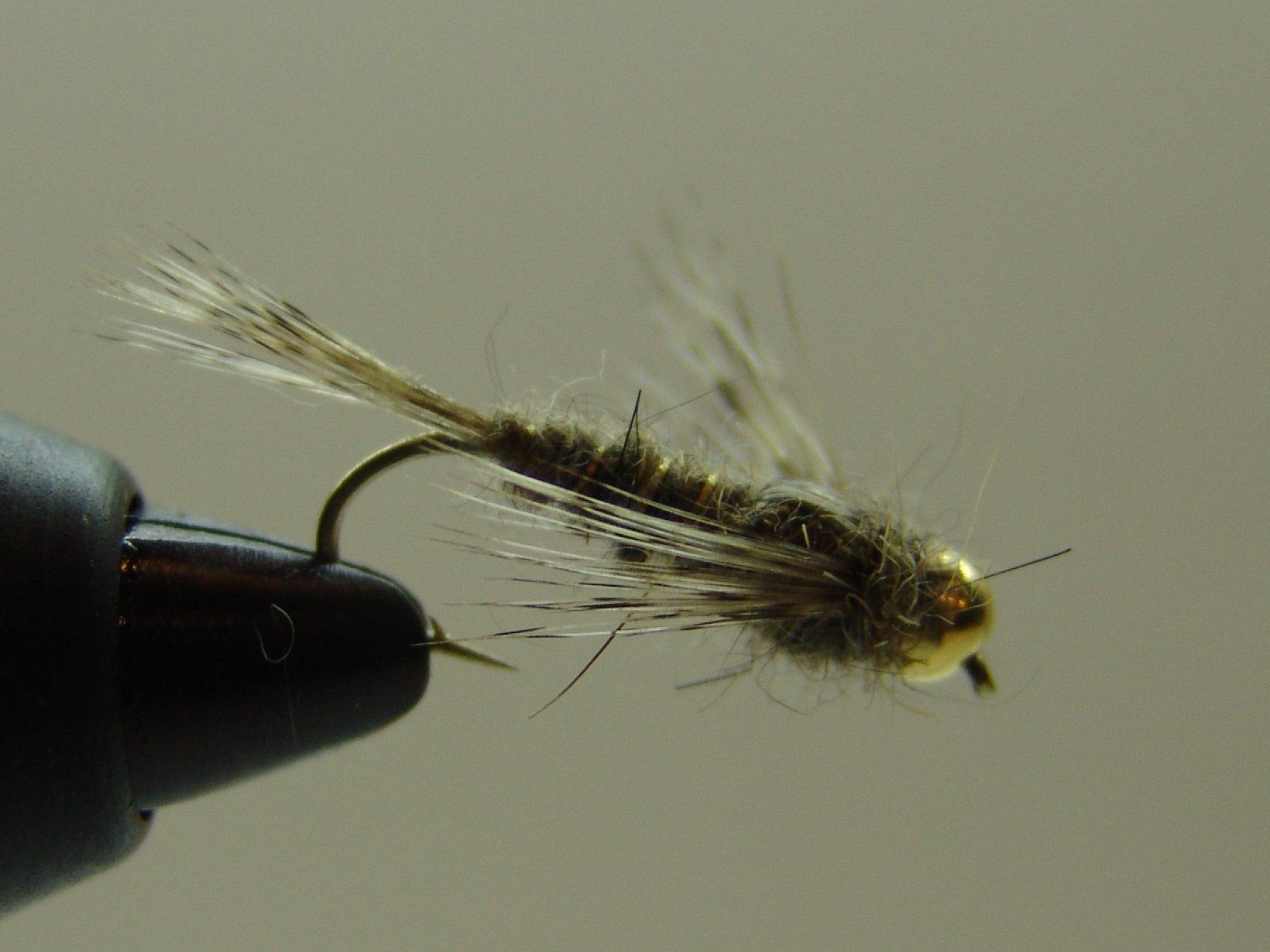 BF NINFA CABEZA DORADA OREJA LIEBRE 10