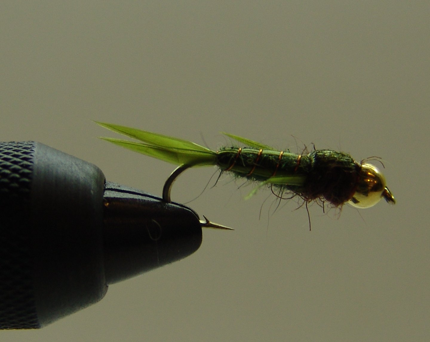 BF NINFA CABEZA DORADA GOOSE OLIVA Nº10