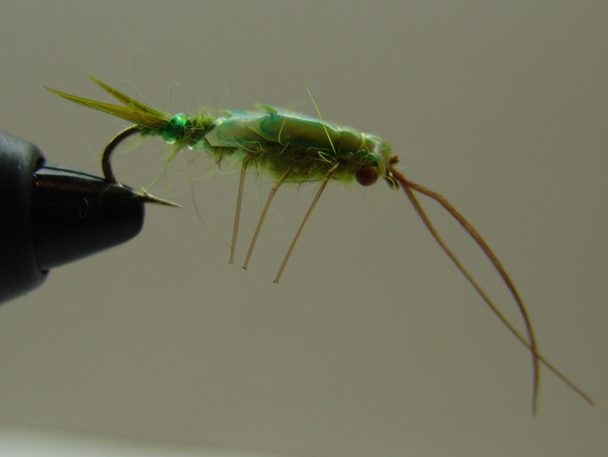 BF NINFA DRAGA 10