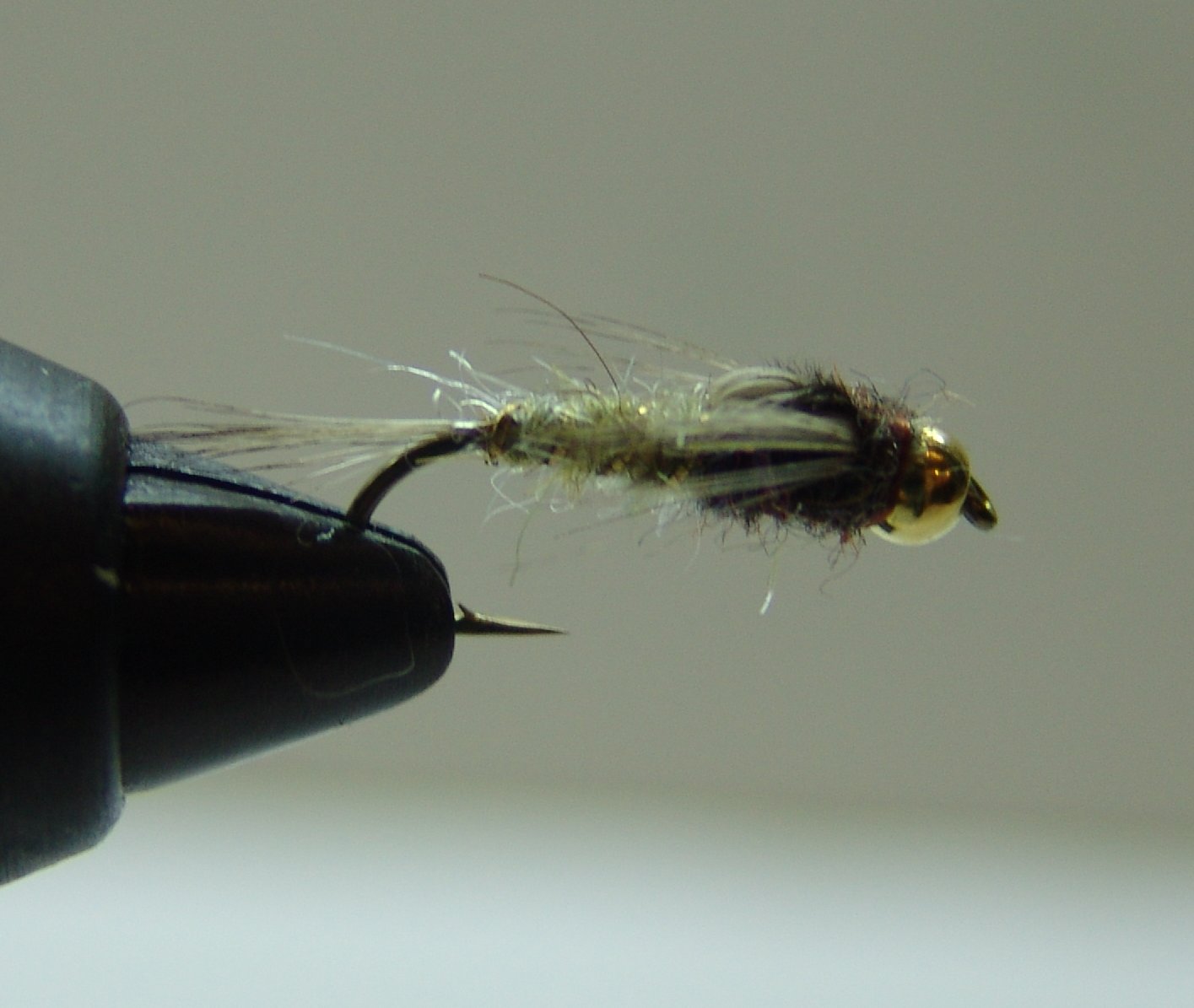 BF NINFA CABEZA DORADA LIGHT OLIVA 12