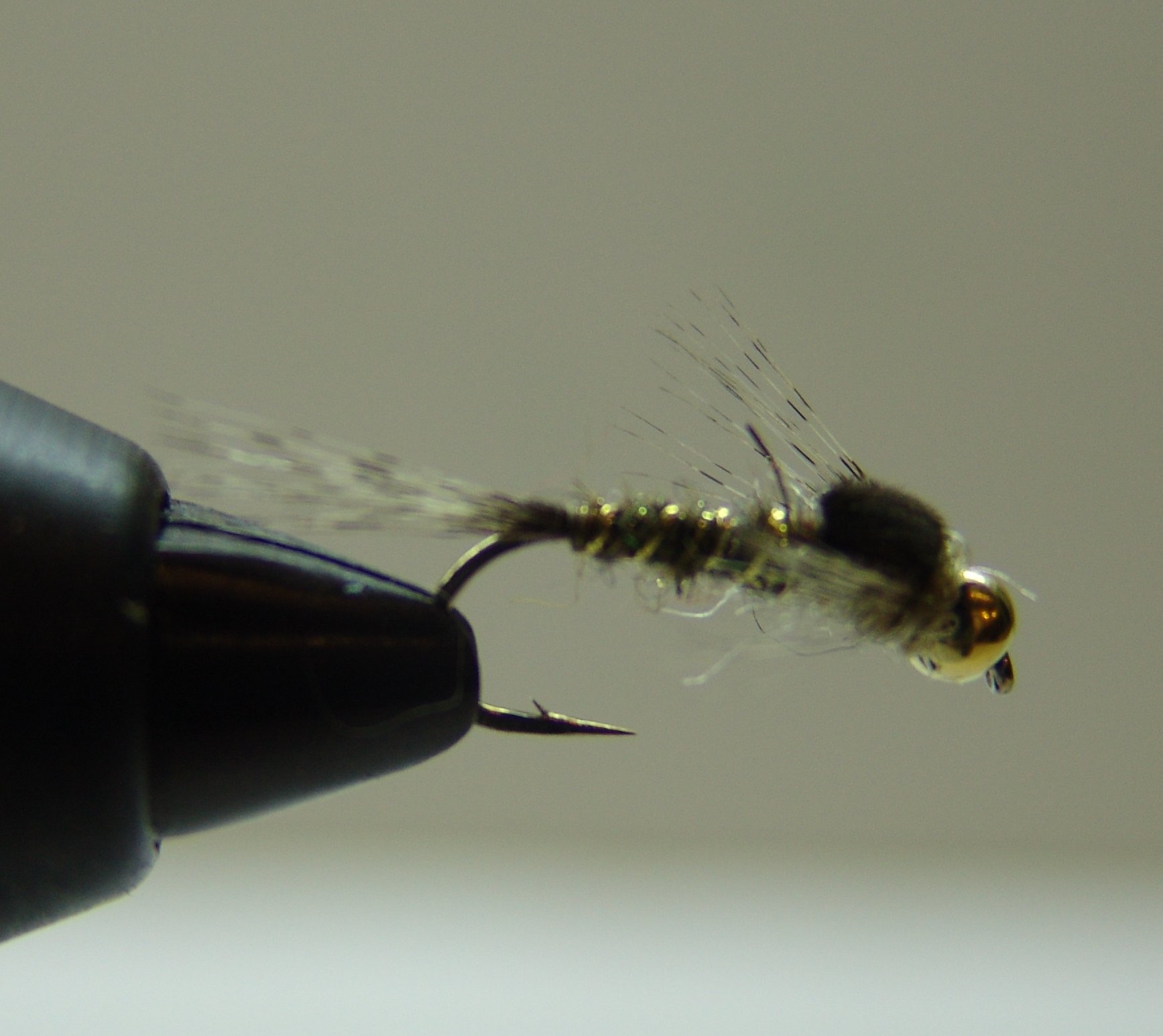 BF NINFA CABEZA DORADA MARRON 12