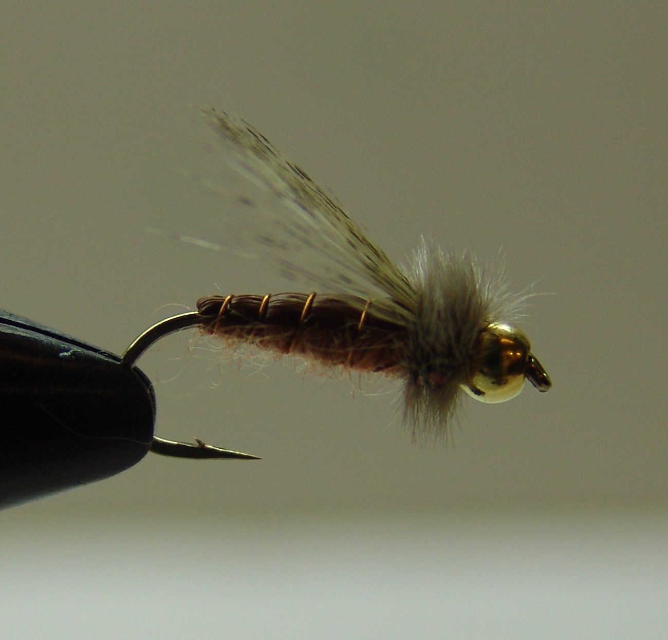 BF NINFA CABEZA DORADA PUPA MARRON 12