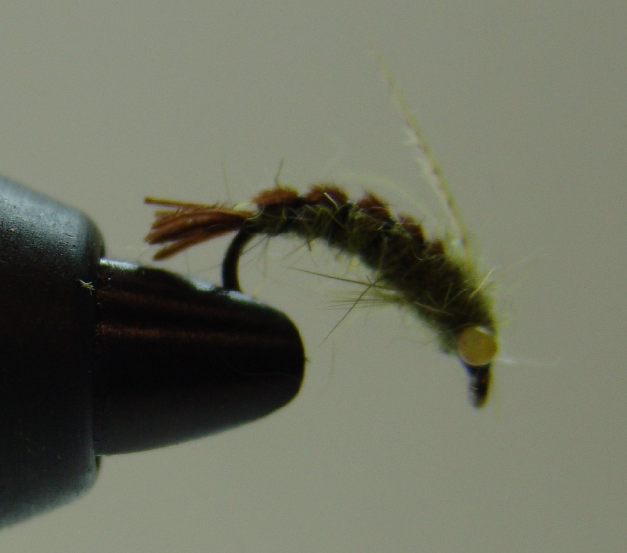 BF PATOSA OLIVA 12