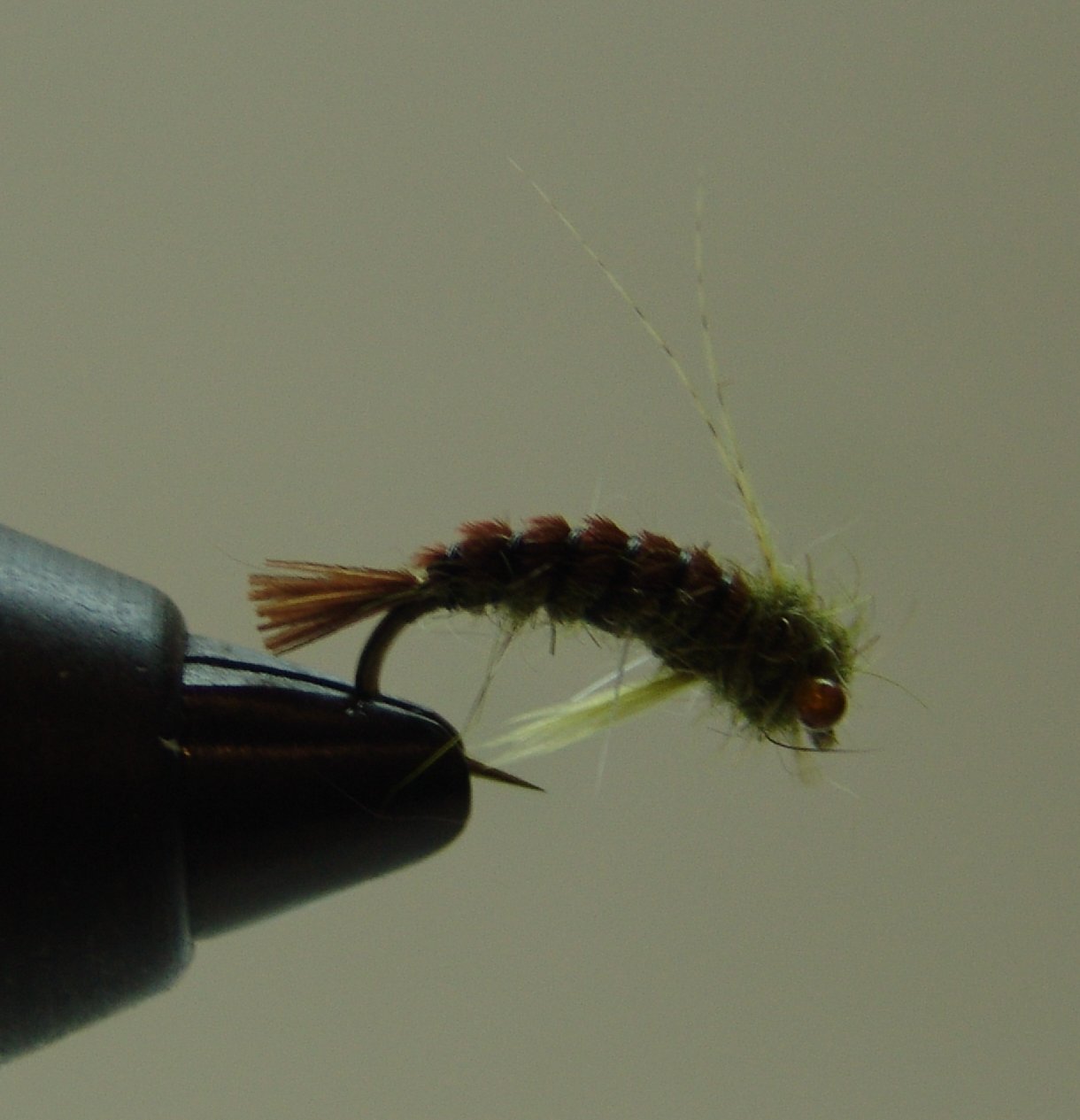 BF NINFA PATOSA OLIVA 10