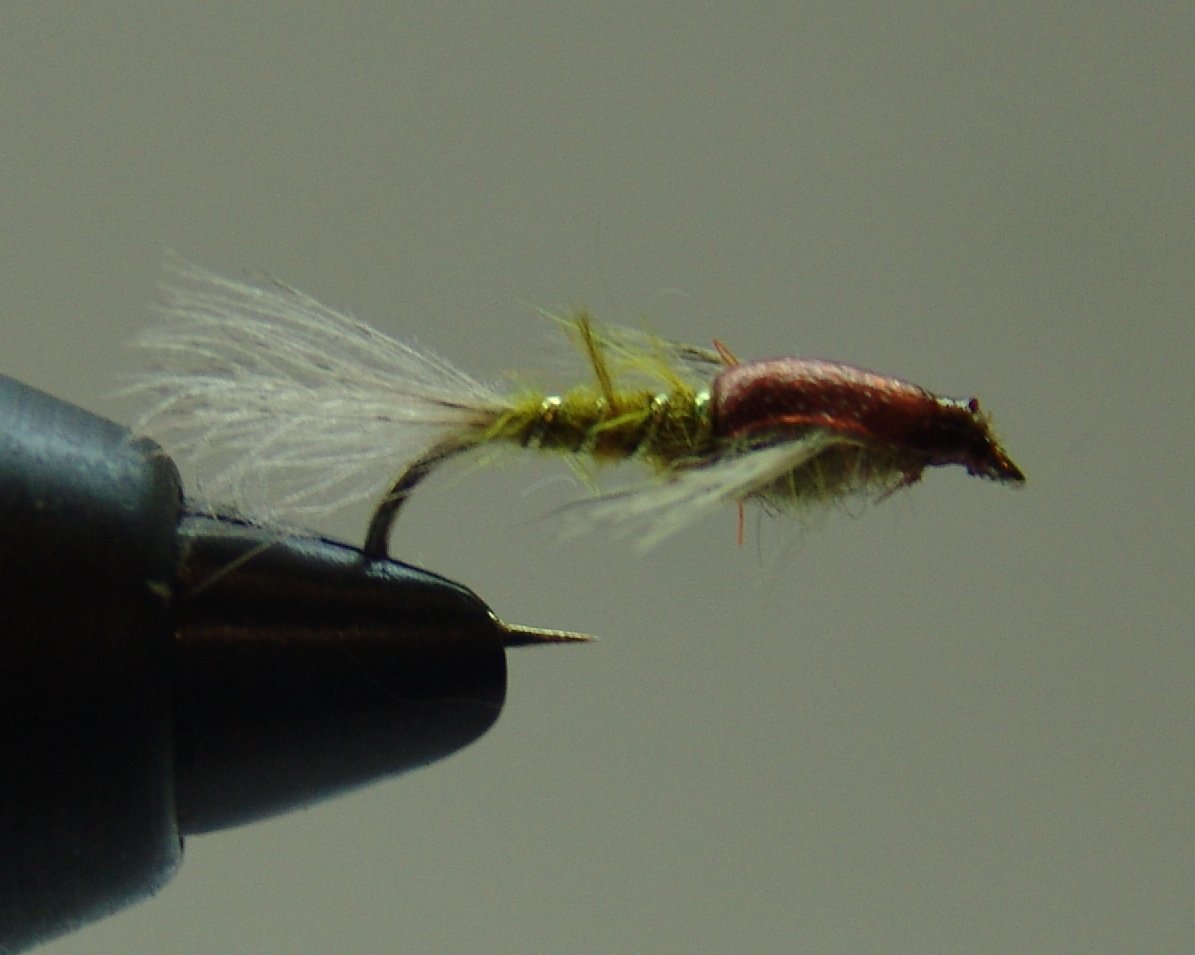 BF NINFA EFEMERA GINGER 12