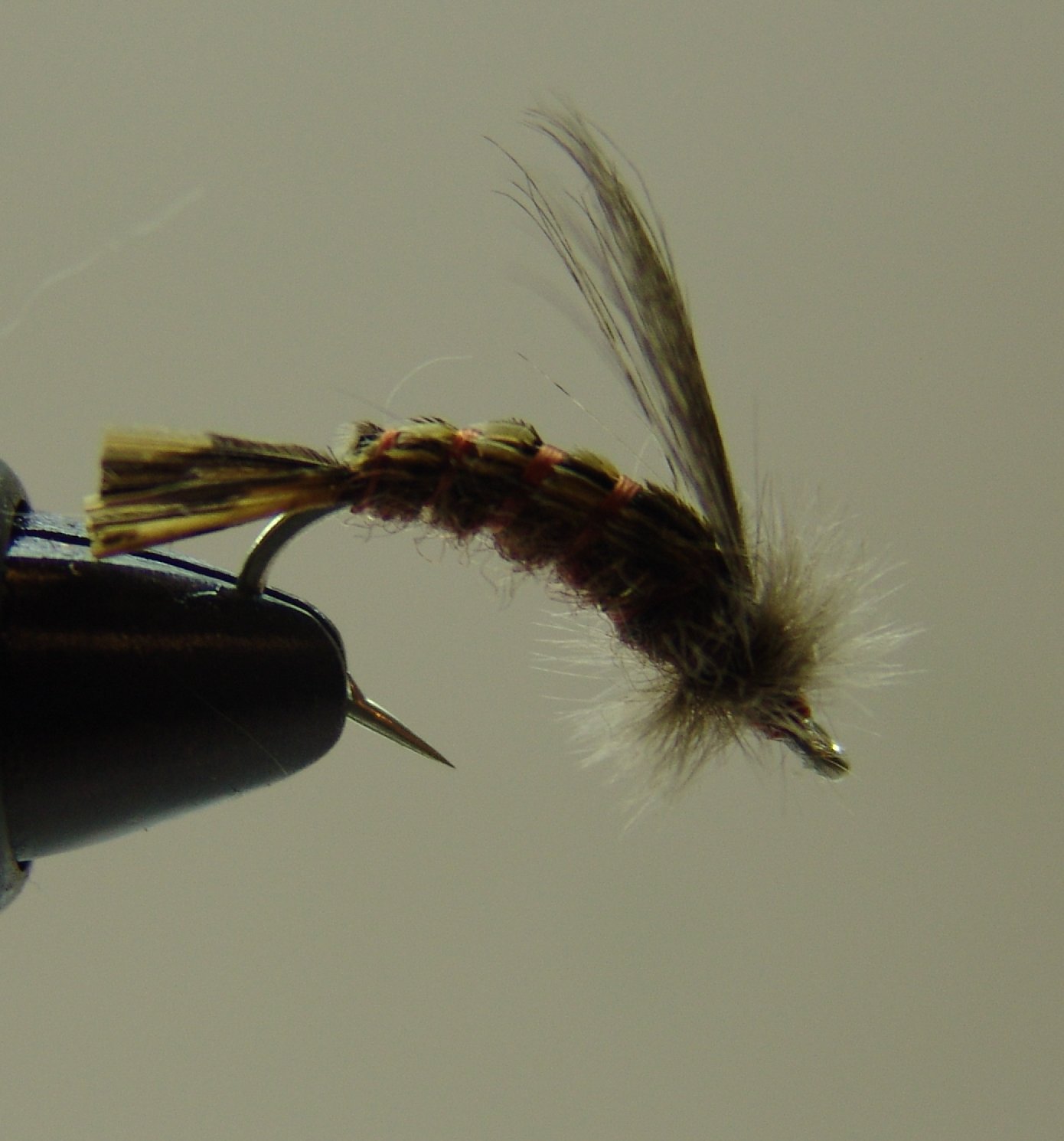 BF PATOSA MARRON 10