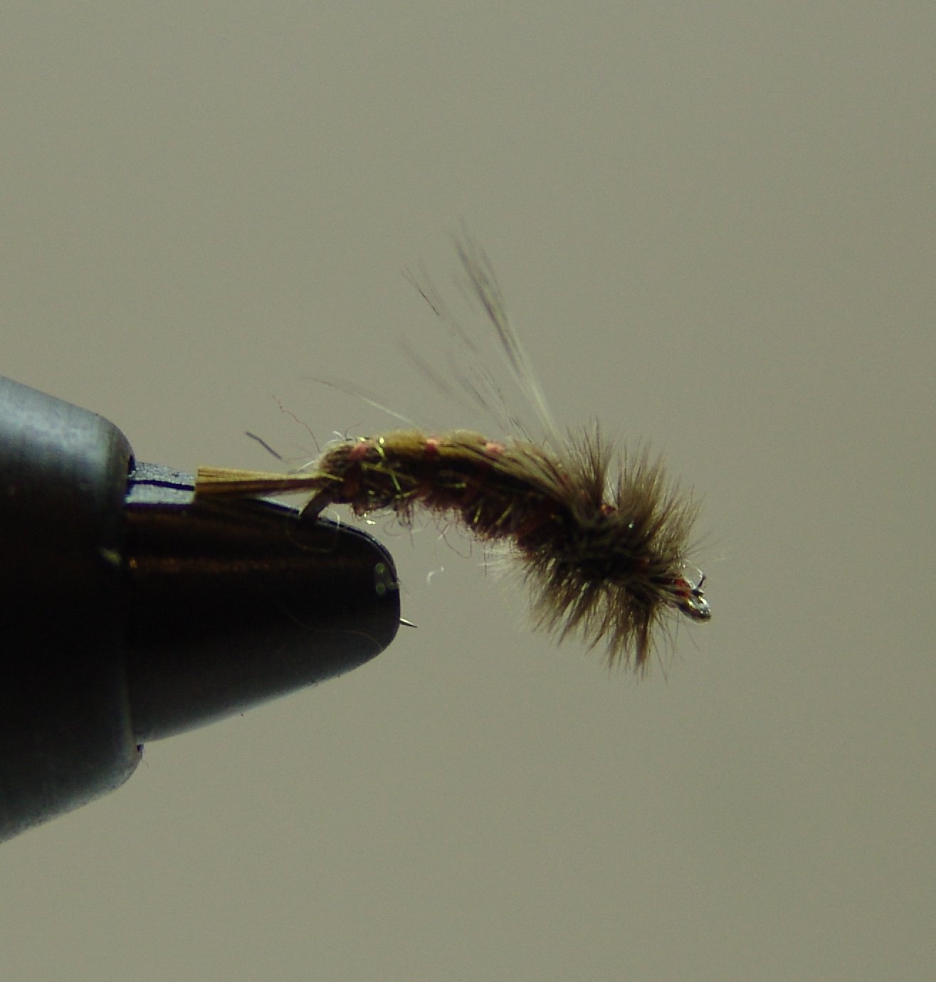BF PATOSA MARRON 12