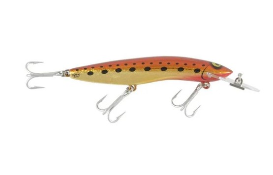 HALCO SORCERER 125 STD H70-KING BROWN