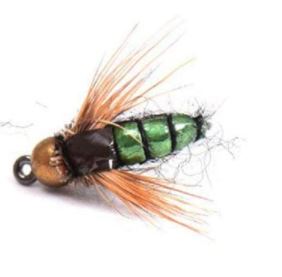 NINFA AVISPA VERDE