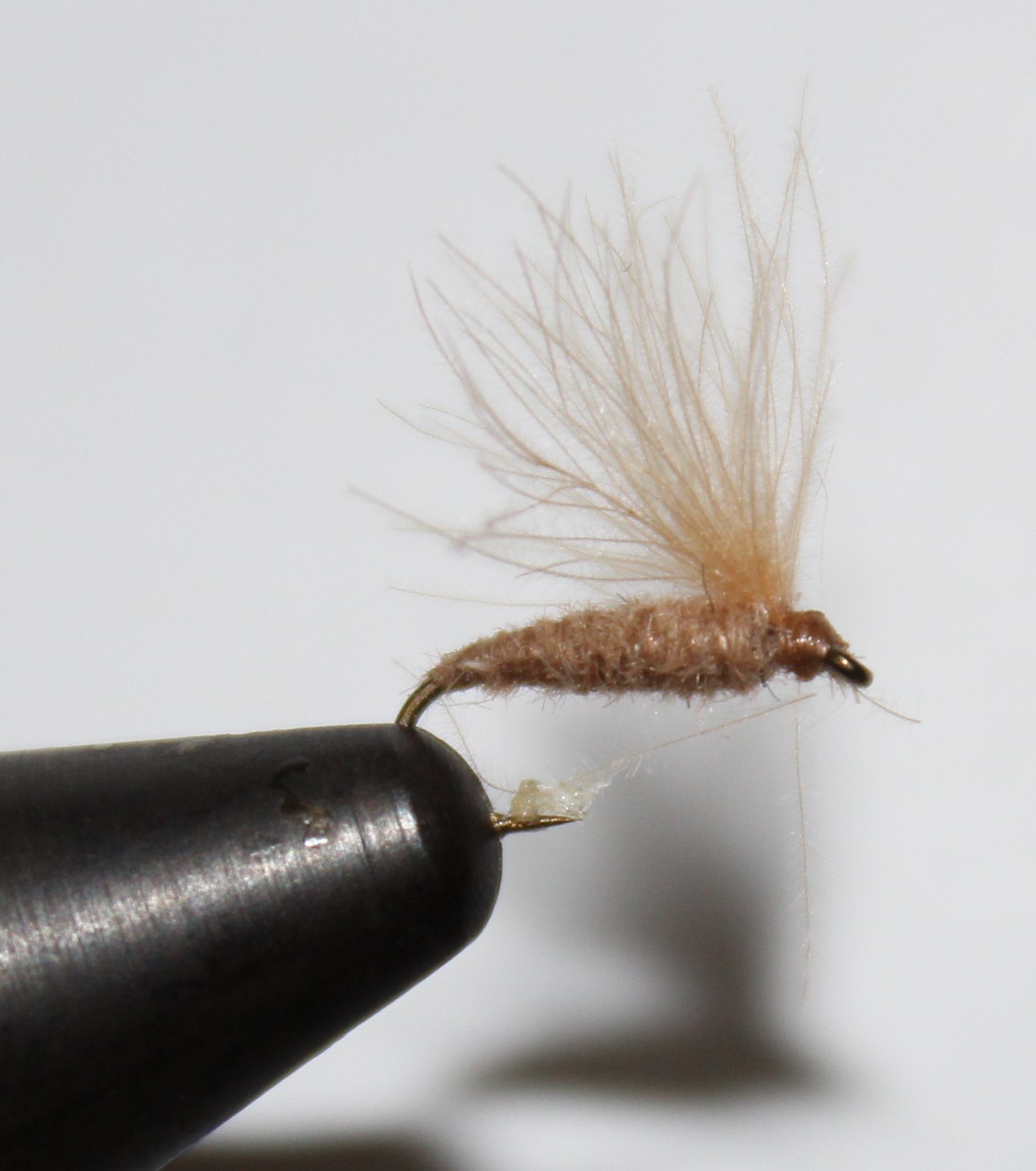 MOSCA EFEMERA BEIGE Nº18