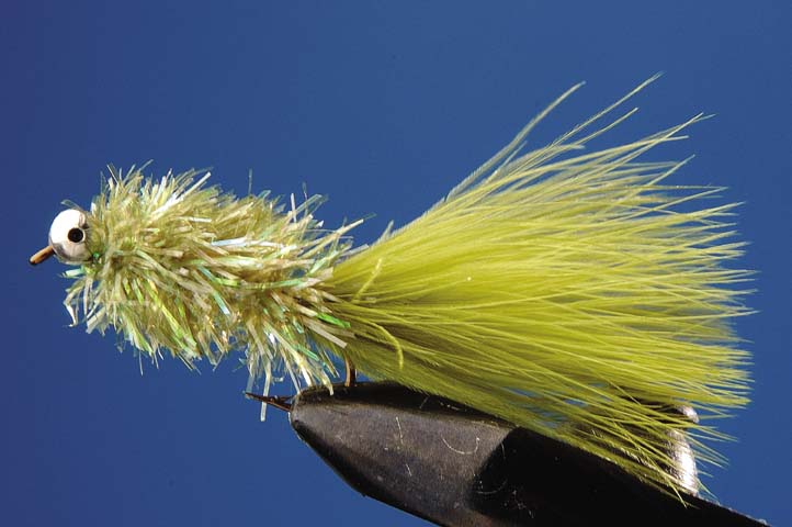 EYED STREAMER ANZ 8 OLIVE
