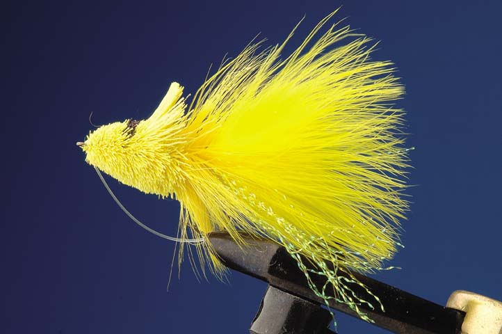 BASS BUG AMARILLO ANZ 6