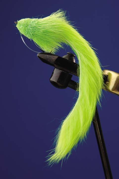 BASS BUG ANZ 2 CHARTREUSE