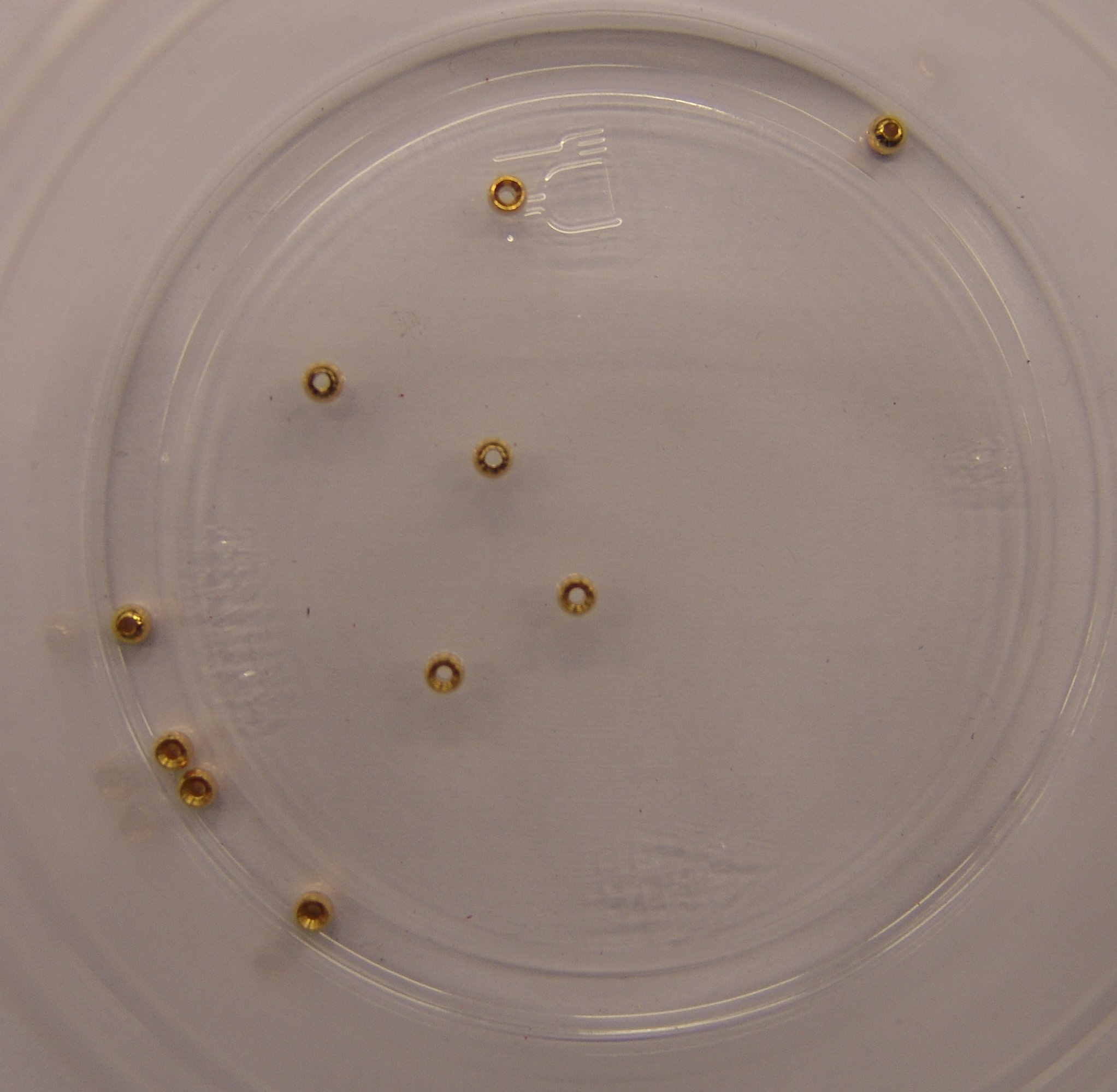 CABEZA DORADA 3mm (10unidades)