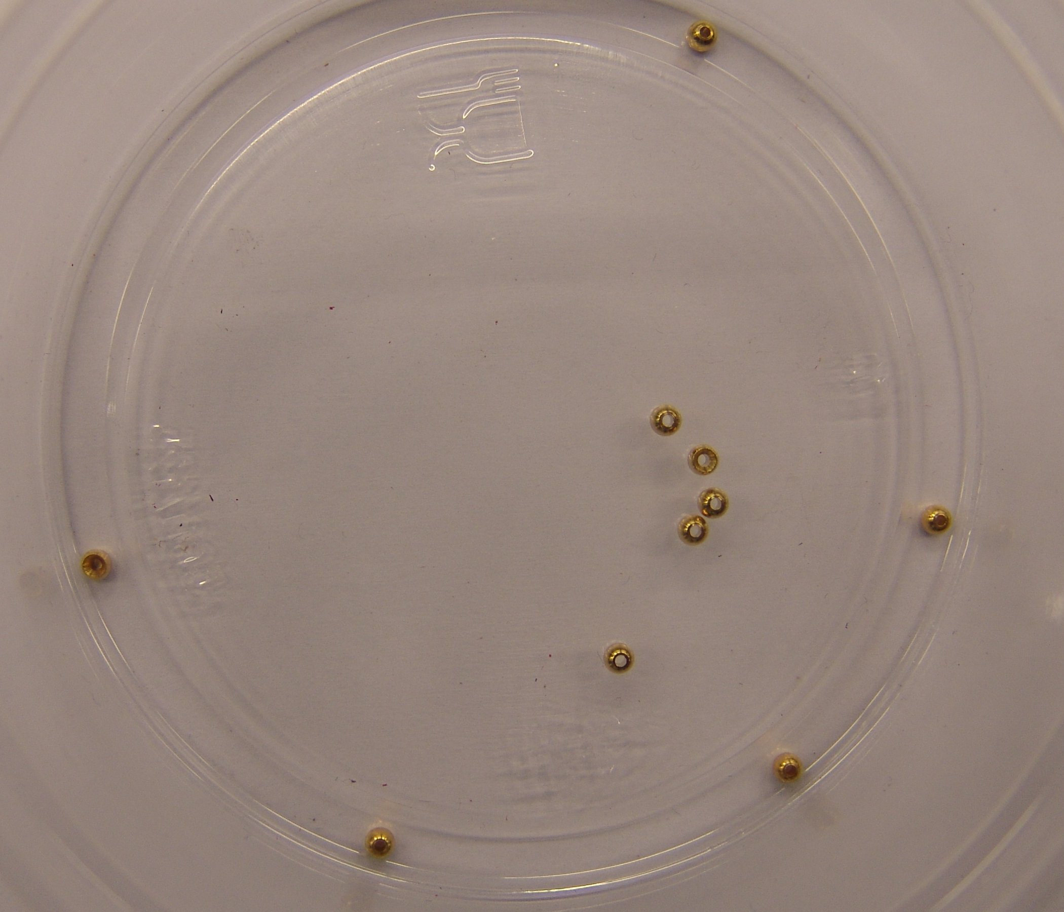 CABEZA DORADA 2,5mm (10unidades)