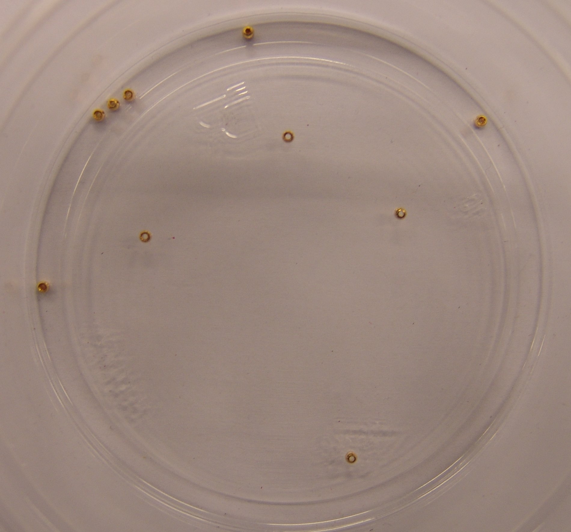 CABEZA DORADA 1,4mm (10unidades)