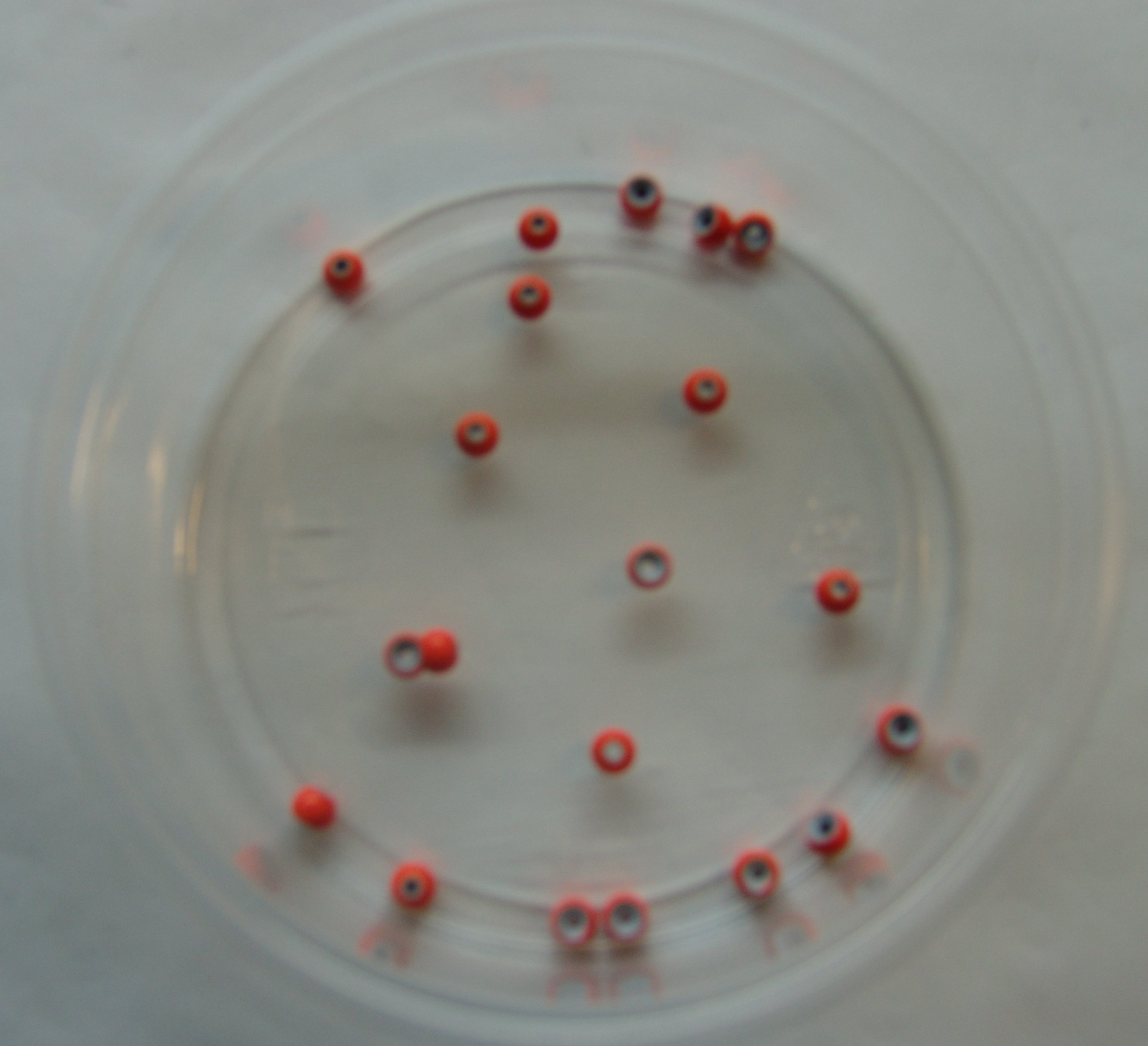 CABEZA NARANJA 4,5mm (20unidades)