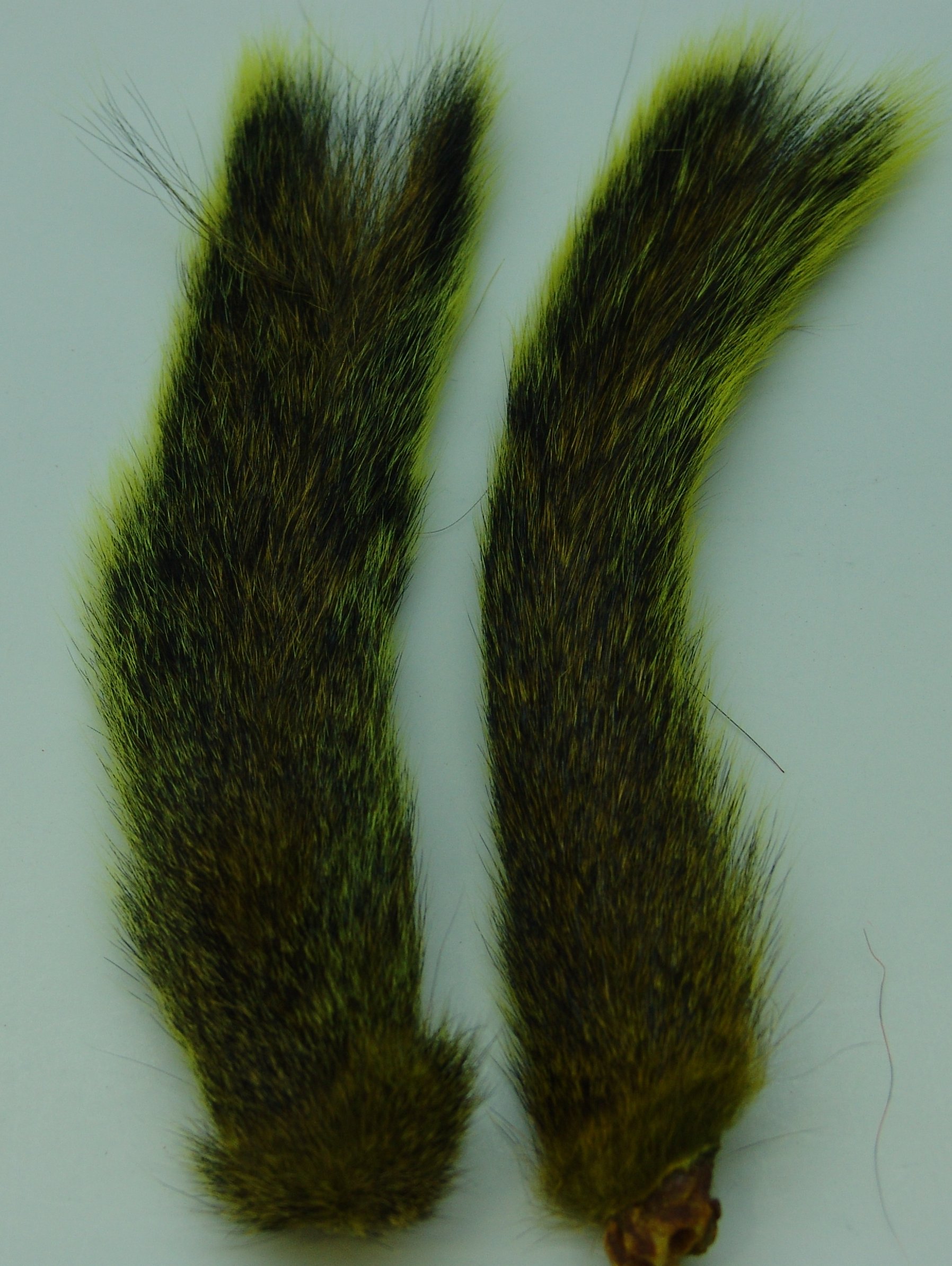 COLA ARDILLA AMARILLO PISCATOR FLY