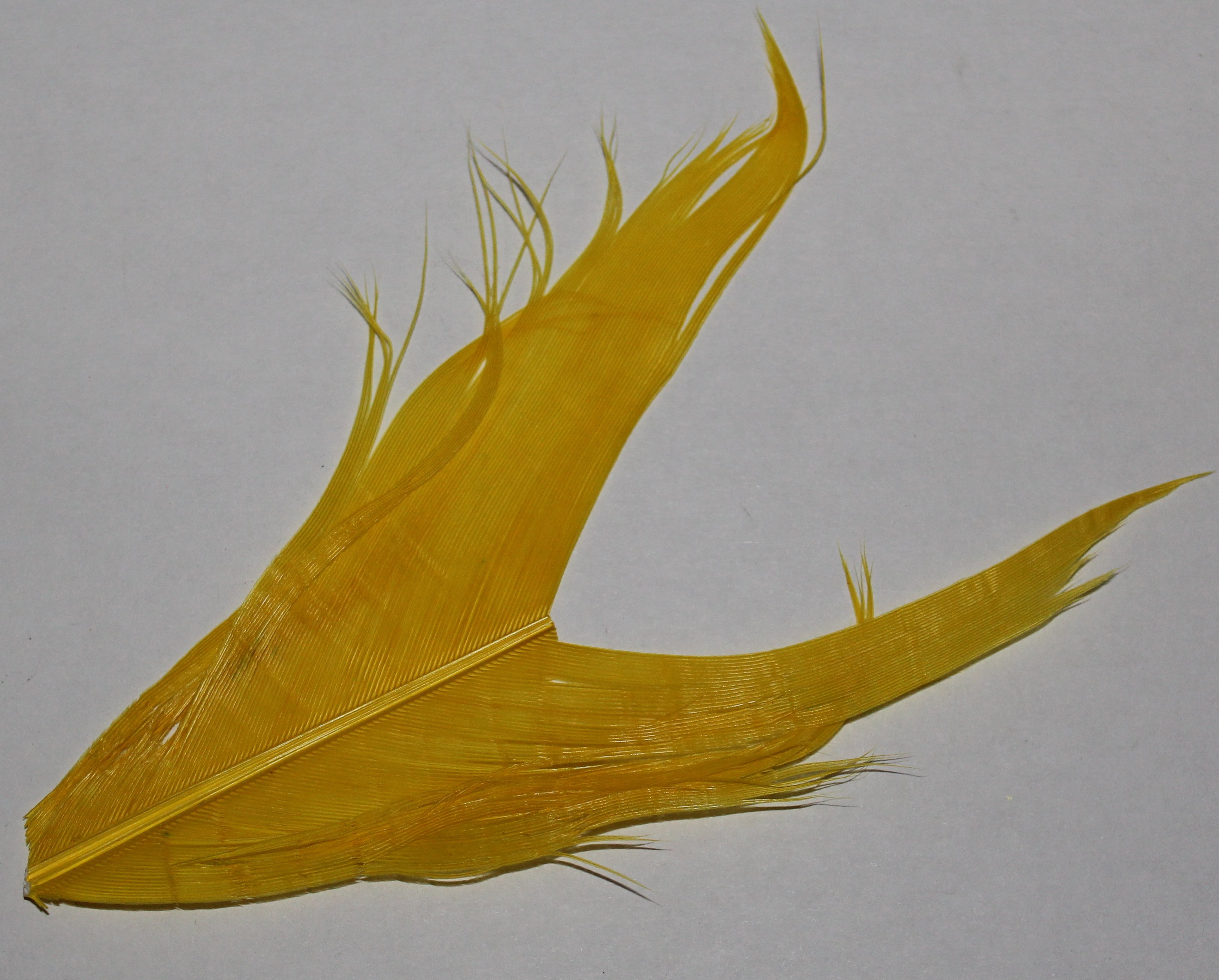 SUSTITUTO DE CONDOR YELLOW