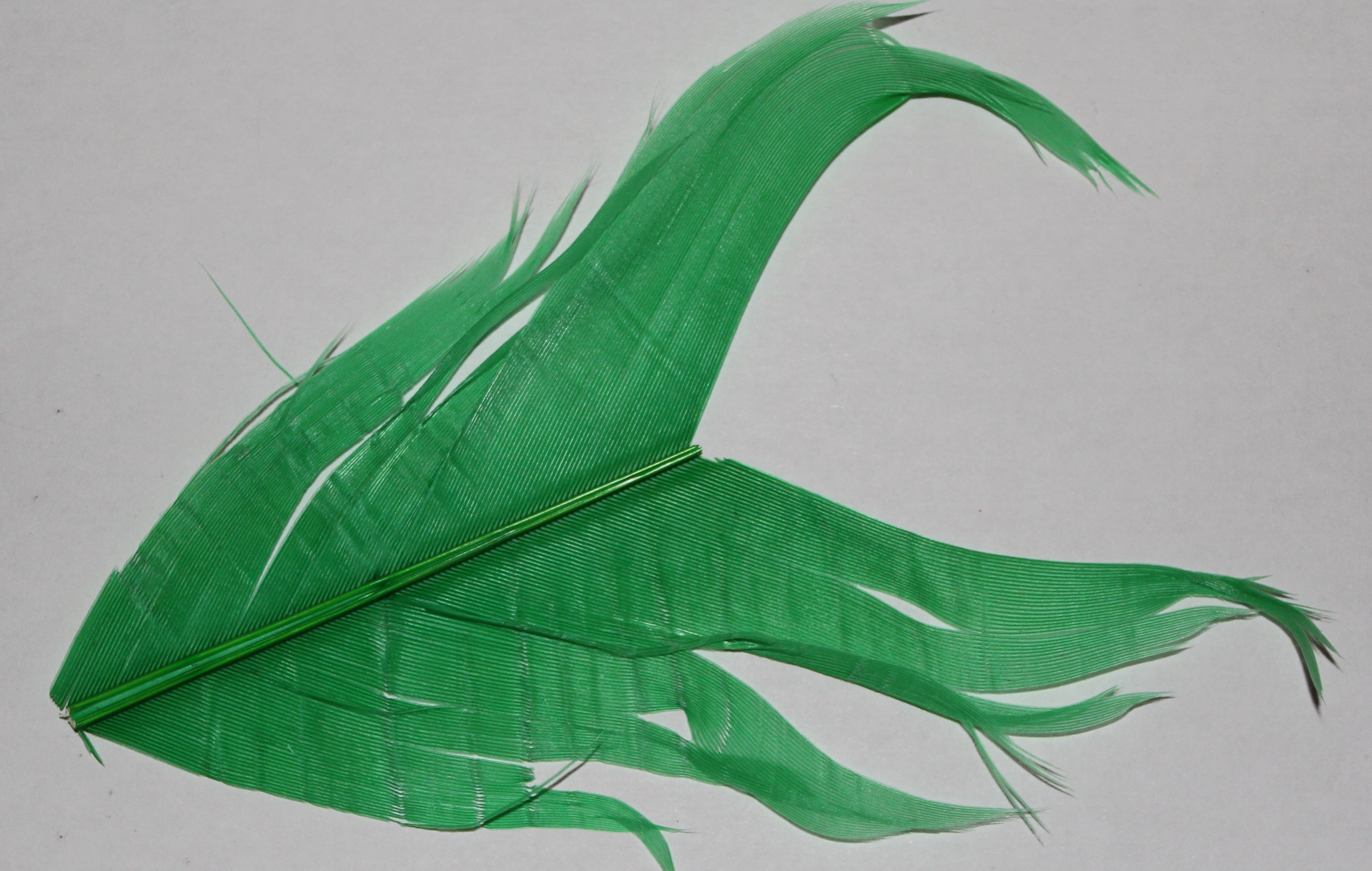 SUSTITUTO DE CONDOR GREEN
