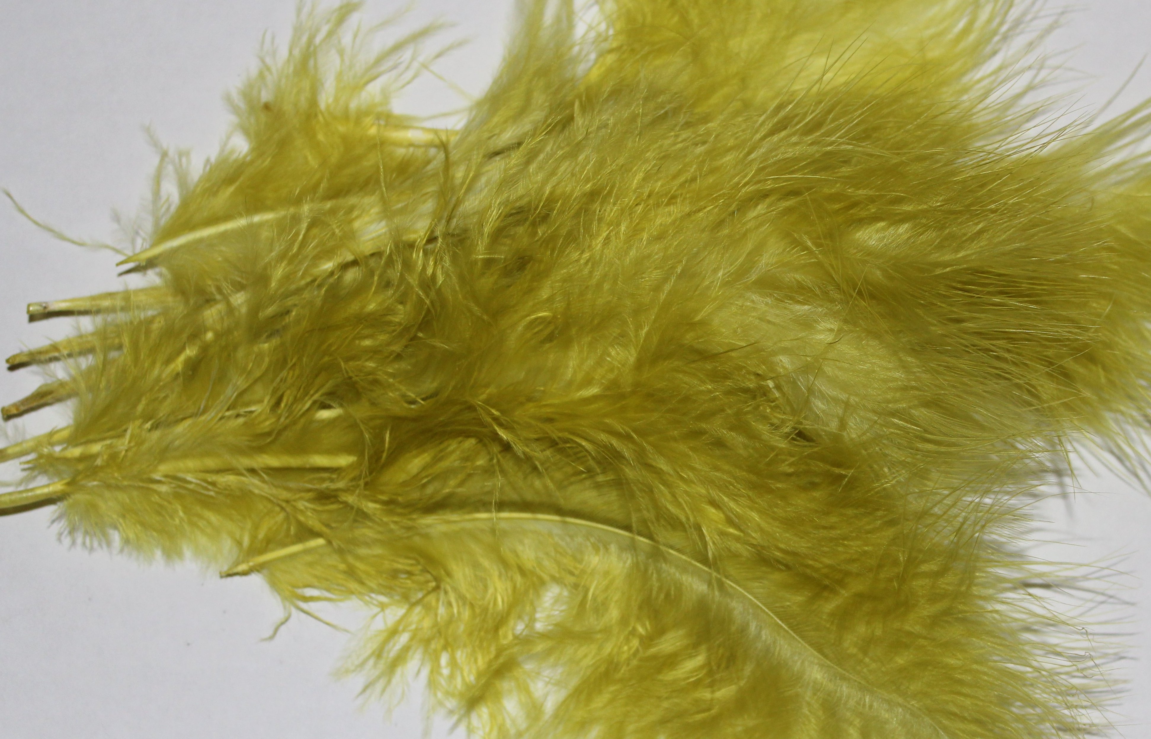 GRAND MARABOU GOLDEN OLIVE
