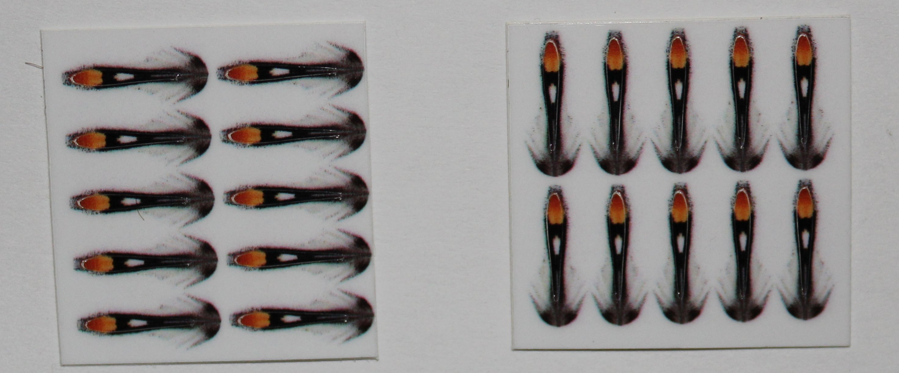 SUBSTITUTE JUNGLE COCK NATURAL 10mm (20 unidades)