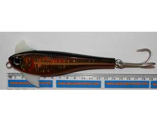 WAXWING 138 BLK/GLD WAXWING 138 BLK/GLD