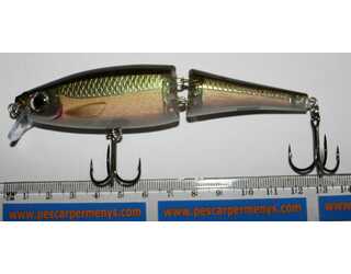 RAPALA BX SWIMMER 12CM SMT