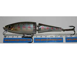 RAPALA BX SWIMMER 12CM RT RAPALA BX SWIMMER 12CM RT