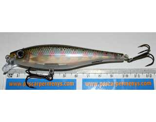 RAPALA BX MINNOW BXM10 10CM RT RAPALA BX MINNOW BXM10 10CM RT