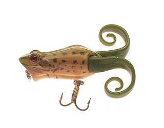 FRENZY POP FROG POPPER 6CM LEOPARDFROG FRENZY POP FROG POPPER 6CM LEOPARDFROG