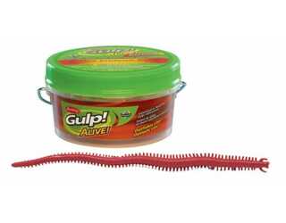 BERKLEY GULP ALIVE SANDWORM 15cm CAMO BERKLEY GULP ALIVE SANDWORM 15cm CAMO