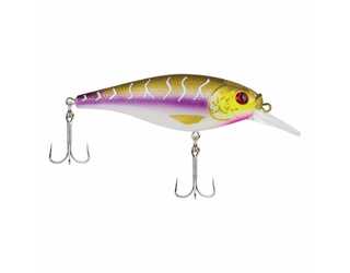 BERKLEY FLICKER SHAD SHALLOW 5CM PURPLE TIGER  BERKLEY FLICKER SHAD SHALLOW 5CM PURPLE TIGER