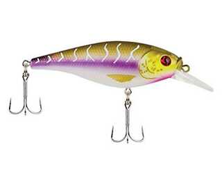 BERKLEY FLICKER SHAD SHALLOW 7CM PURPLE TIGER