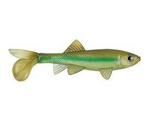 BERKLEY HAVOC SICK FISH 10cm LIGHT HITCH (2 unidades) BERKLEY HAVOC SICK FISH 10cm LIGHT HITCH (2 unidades)