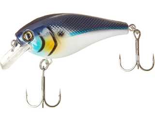 BERKLEY SQUARE BULL 6CM BLUE BACK