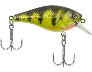 BERKLEY SQUARE BULL 6CM YELLOW PERCH