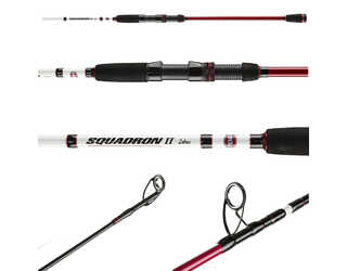 CAÑA PENN SQUADRON II Labrax 702 210 10-30gr