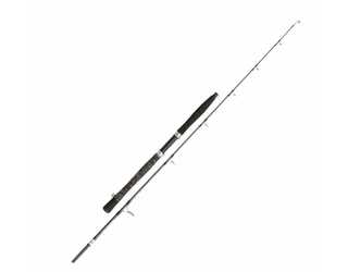 CAÑA PENN LEGION CAT SILVER Allround 240 100-300g