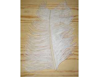 WAPSI PLUMA AVESTRUZ, WHITE  WAPSI PLUMA AVESTRUZ, WHITE