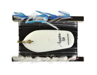 RAGOT - LIGNE TRAINE AQUADIVE