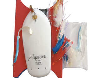 LIGNE TRAINE LEGERE DECOUVERTE